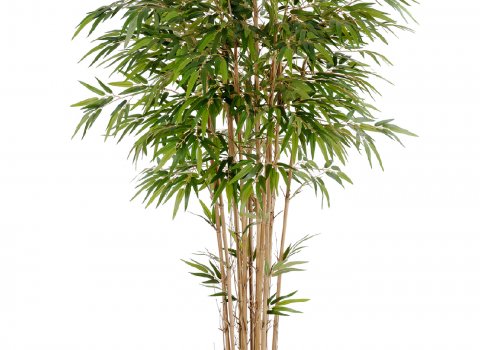 Бамбук натуральный (150/180/210см.)
