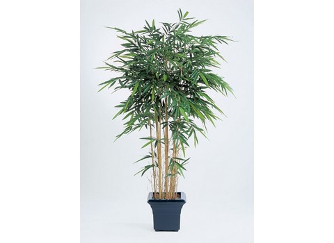 Бамбук Новый натуральный от 150 до 210см